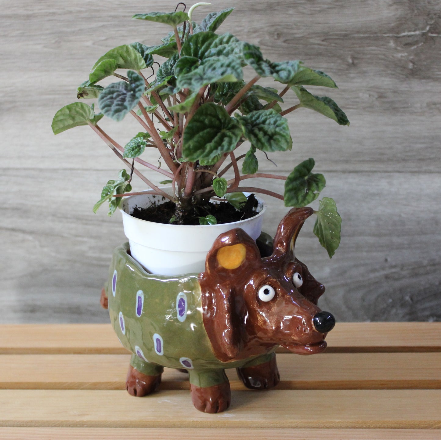 Hound Dog Small Plant Container