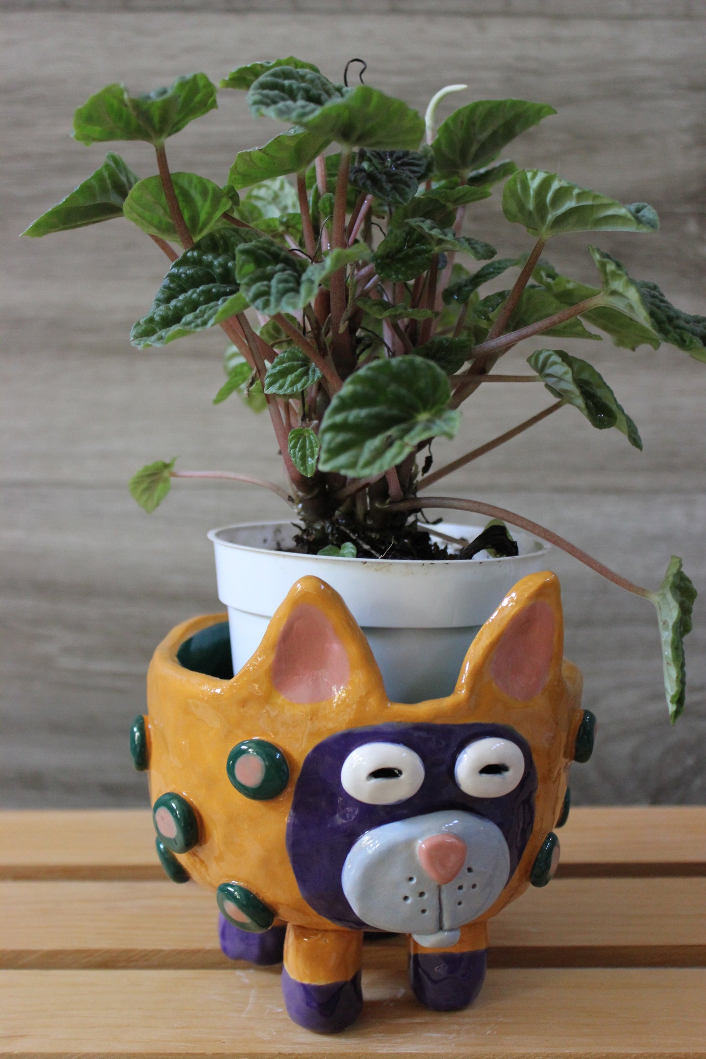 Whimsical, Cat Plant, Succulent Holder