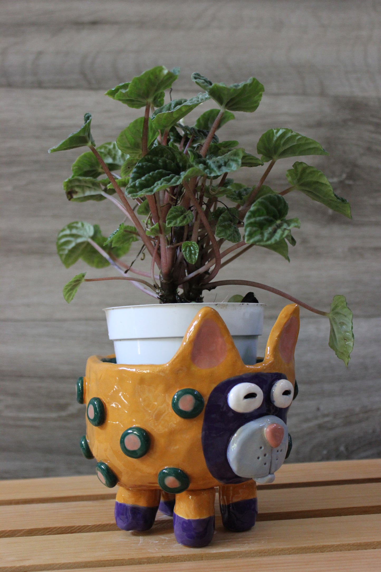 Whimsical, Cat Plant, Succulent Holder